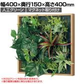ベルク フェイクグリーン ウォールグリーン マグネットグリーン 木枠フレームタイプ 35角 人工 造花 GR1256 幅400×奥行150×高さ400mm