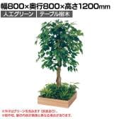 ベルク 土台プランター 450角 フィカスベンジャミン 国産 テーブル樹木 人工観葉植物 フェイクグリーン GR5121 幅800×奥行800×高さ1200mm オフィス 休憩室