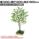 ベルク 土台プランター 450角 ドウダン 国産 テーブル樹木 人工観葉植物 フェイクグリーン GR5124 幅1200×奥行1200×高さ1900mm オフィス 休憩室