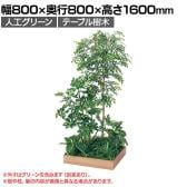 ベルク 土台プランター 600角 トネリコ&シェフレラ 国産 テーブル樹木 人工観葉植物 フェイクグリーン GR5134 幅800×奥行800×高さ1600mm オフィス 休憩室