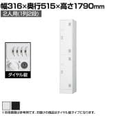 2人用 スチールロッカー 1列2段 スタンダードロッカー 鍵付き ダイヤル錠 幅316×奥行515×高さ1790mm【国産】【完成品】/TLK-D2S パーソナルロッカー 個人ロッカー 更衣室ロッカー ホワイト ブラック