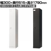 ロッカー スチールロッカー 1人用 1列1段 GSシリーズ  スリム 鍵付き ダイヤル錠 個人ロッカー 更衣ロッカー シューズロッカー オフィス ネームプレート 鏡 幅300×奥行515×高さ1790mm
