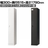 ロッカー スチールロッカー 1人用 1列1段 GSシリーズ  スリム 鍵付き シリンダー錠 個人ロッカー 更衣ロッカー シューズロッカー オフィス ネームプレート 鏡 幅300×奥行515×高さ1790mm