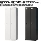 ロッカー スチールロッカー 2人用 2列1段 GSシリーズ  スリム 鍵付き シリンダー錠 個人ロッカー 更衣ロッカー シューズロッカー オフィス ネームプレート 鏡 収納 幅600×奥行515×高さ1790mm