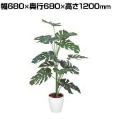 ポピー 観葉植物 人工樹木 モンステラ 日本製 国産 幅680×奥行680×高さ1200mm フェイクグリーン 葉 造花 インテリア オフィス おしゃれ