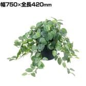 ポピー 観葉植物 人工樹木 フィトニアポット グリーンポット 幅750×全長420mm フェイクグリーン 葉 造花 インテリア オフィス おしゃれ