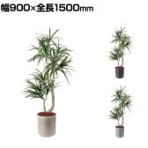 ポピー 観葉植物 人工樹木 クラスタードラセナ 日本製 国産 幅900×全長1500mm フェイクグリーン 葉 造花 インテリア オフィス おしゃれ