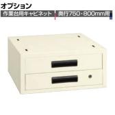 [オプション]サカエ 作業台用オプションキャビネット 幅500×奥行500×高さ224mm NKL-22IB