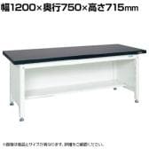 サカエ 実験用作業台KFTタイプ 幅1200×奥行750×高さ715mm KFT-1275P