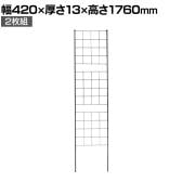 アイアンフェンス Graph(グラフ) スリム 2枚組 ガーデンフェンス グリーンフェンス 花壇 縁取り 仕切り 境界線 囲い 差し込み式 庭 DIY つる性植物 園芸用品