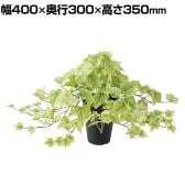 観葉植物 人工樹木 フェイクグリーン 造花 ライムアイビー 高さ350mm 鉢:SA-4(BK) 卓上