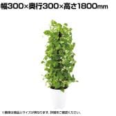 観葉植物 人工樹木 フェイクグリーン 造花 MIXヘゴ ライム/ライム 高さ1800mm 鉢:SA-10(WH)