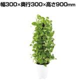 送料無料】 アートクリエイション 観葉植物 カシワバゴム