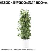 観葉植物 人工樹木 フェイクグリーン 造花 マーブルポトスヘゴ 高さ1800mm 鉢:SA-10(WH)