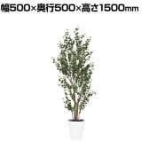 観葉植物 人工樹木 フェイクグリーン 造花 ベンジャミンバロック FST 高さ1500mm 鉢:SA-8(WH)