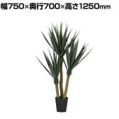 観葉植物 人工樹木 フェイクグリーン 造花 ユッカ ブラックポット付き 高さ1250mm