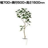 観葉植物 人工樹木 フェイクグリーン 造花 インドボダイジュ FST 高さ1500mm 鉢:SA-8(WH)