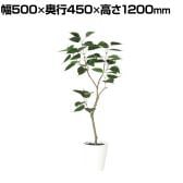 観葉植物 人工樹木 フェイクグリーン 造花 インドボダイジュ FST 高さ1200mm 鉢:SA-7(WH)