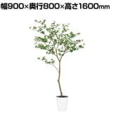 観葉植物 人工樹木 フェイクグリーン 造花 ドウダンツツジ FST 高さ1600mm 鉢:SA-8(WH)
