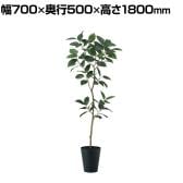 観葉植物 人工樹木 フェイクグリーン 造花 デコラゴム FST 高さ1800mm 鉢:SA-10(BK)