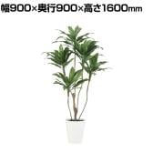 観葉植物 人工樹木 フェイクグリーン 造花 コルディリネ 高さ1600mm 鉢:SA-10(WH)