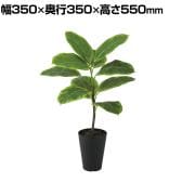 観葉植物 人工樹木 フェイクグリーン 造花 アルテシマ ルーツポット 高さ550mm 鉢:SA-4(BK) 卓上