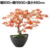 観葉植物 人工樹木 フェイクグリーン 造花 ヤマモミジ ボウル RED 高さ450mm 鉢:BB-25 (DG) 卓上