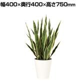 観葉植物 人工樹木 フェイクグリーン 造花 サンスベリア 高さ750mm 鉢:SA-7(WH)