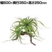 観葉植物 人工樹木 フェイクグリーン 造花 チランジア スタンプウッド 高さ250mm 卓上