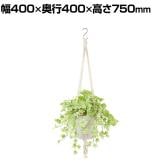観葉植物 人工樹木 フェイクグリーン 造花 ライムアイビー 鉢:HP-15(WH) ハンギング植栽 ハンギングポット 吊り下げポット 高さ750mm