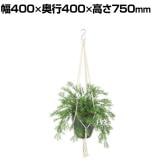 観葉植物 人工樹木 フェイクグリーン 造花 スプレンゲリー 鉢:HP-15 (DG) ハンギング植栽 ハンギングポット 吊り下げポット 高さ750mm