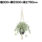 観葉植物 人工樹木 フェイクグリーン 造花 オリヅルラン W/G 鉢:HP-15 (DG) ハンギング植栽 ハンギングポット 吊り下げポット 高さ750mm