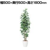 観葉植物 人工樹木 フェイクグリーン 造花 ベンジャミン スリム FST 高さ1800mm 鉢:RP-265