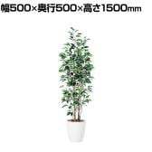 観葉植物 人工樹木 フェイクグリーン 造花 ベンジャミン スリム FST 高さ1500mm 鉢:RP-265