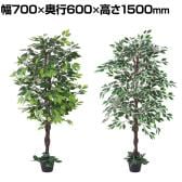 観葉植物 人工樹木 フェイクグリーン インテリアグリーン 造花 ベンジャミン 高さ1500mm