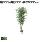 観葉植物 人工樹木 フェイクグリーン インテリアグリーン 造花 ベンジャミン 高さ1800mm