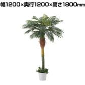 観葉植物 人工樹木 フェイクグリーン インテリアグリーン 造花 デラックスパームツリー 高さ1800mm