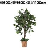 観葉植物 人工樹木 フェイクグリーン インテリアグリーン 造花 ベンジャミン 鉢カゴタイプ 高さ1100mm