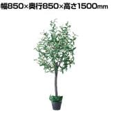 観葉植物 人工樹木 フェイクグリーン インテリアグリーン 造花 オリーブ 高さ1500mm