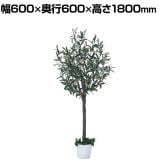 観葉植物 人工樹木 フェイクグリーン インテリアグリーン 造花 オリーブ 高さ1800mm