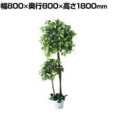 観葉植物 人工樹木 フェイクグリーン インテリアグリーン 造花 ベンジャミンダブル 高さ1800mm