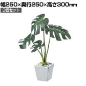 【3個セット】卓上グリーンポット 観葉植物 人工樹木 フェイクグリーン インテリアグリーン 造花 モンステラ 幅250×奥行250×高さ300mm