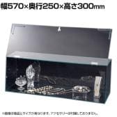 鍵付きショーケースボックス コレクションケース アクリルケース ディスプレイケース 店舗什器 業務用 陳列 化粧品 フィギュア 幅570mm 鍵1箇所