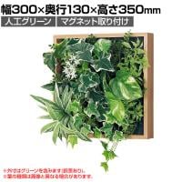 ベルク フェイクグリーン ウォールグリーン マグネットグリーン 木枠フレームタイプ 25角 人工 造花 GR1252 幅300×奥行130×高さ350mm