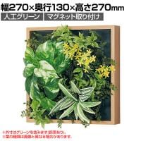 ベルク フェイクグリーン ウォールグリーン マグネットグリーン 木枠フレームタイプ 25角 人工 造花 GR1253 幅270×奥行130×高さ270mm