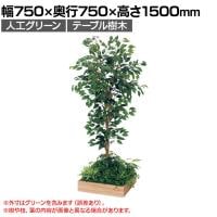 ベルク 土台プランター 450角 フィカスベンジャミン 国産 テーブル樹木 人工観葉植物 フェイクグリーン GR5122 幅750×奥行750×高さ1500mm オフィス 休憩室