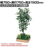 ベルク 土台プランター 530角 フィカスベンジャミン 国産 テーブル樹木 人工観葉植物 フェイクグリーン GR5126 幅750×奥行750×高さ1500mm オフィス 休憩室