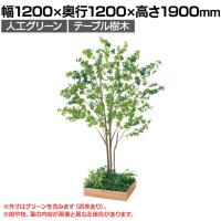 ベルク 土台プランター 530角 ドウダン 国産 テーブル樹木 人工観葉植物 フェイクグリーン GR5128 幅1200×奥行1200×高さ1900mm オフィス 休憩室