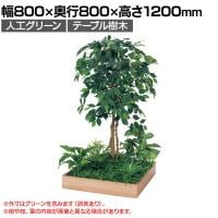 ベルク 土台プランター 600角 フィカスベンジャミン 国産 テーブル樹木 人工観葉植物 フェイクグリーン GR5129 幅800×奥行800×高さ1200mm オフィス 休憩室