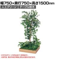 ベルク 土台プランター 600角 フィカスベンジャミン 国産 テーブル樹木 人工観葉植物 フェイクグリーン GR5130 幅750×奥行750×高さ1500mm オフィス 休憩室